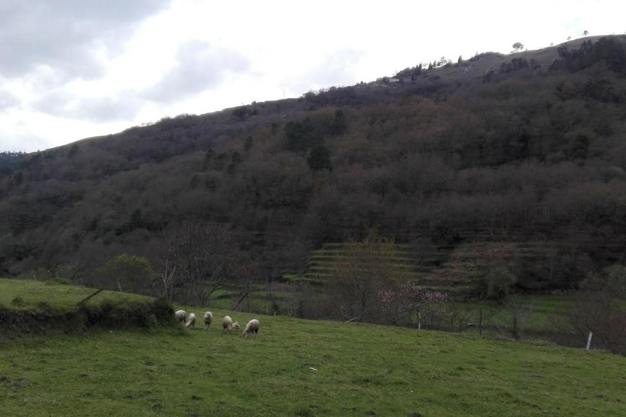Quinta Da Imaculada Villa Arcos de Valdevez Dış mekan fotoğraf